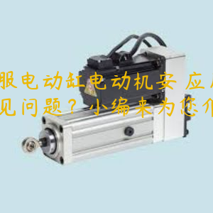 伺服電動缸電動機(jī)安裝應(yīng)用常見問題？小編來為您介紹！