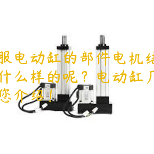 伺服電動(dòng)缸的部件電機(jī)結(jié)構(gòu)是什么樣的呢？電動(dòng)缸廠家為您介紹！