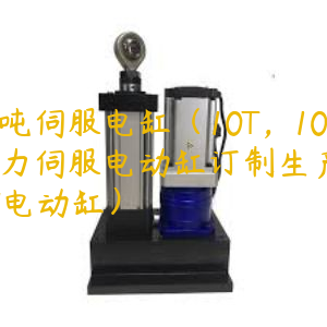 10噸伺服電缸（10T，10噸推力伺服電動缸訂制生產(chǎn),10N電動缸）