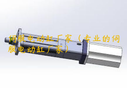 伺服電動(dòng)缸廠家（專業(yè)的伺服電動(dòng)缸廠家）